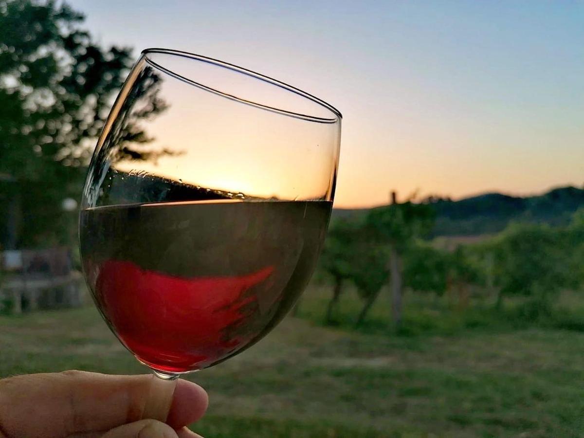 Podere Bellavista San Gimignano Ngoại thất bức ảnh