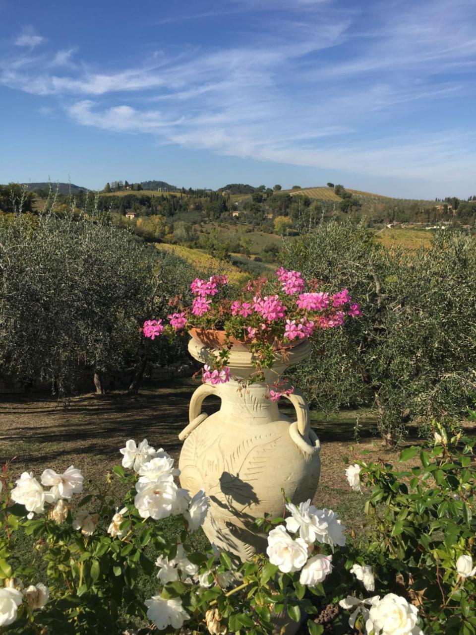 Podere Bellavista San Gimignano Ngoại thất bức ảnh