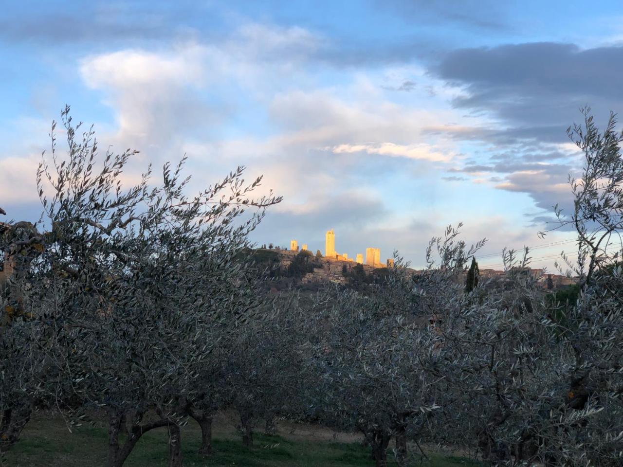 Podere Bellavista San Gimignano Ngoại thất bức ảnh