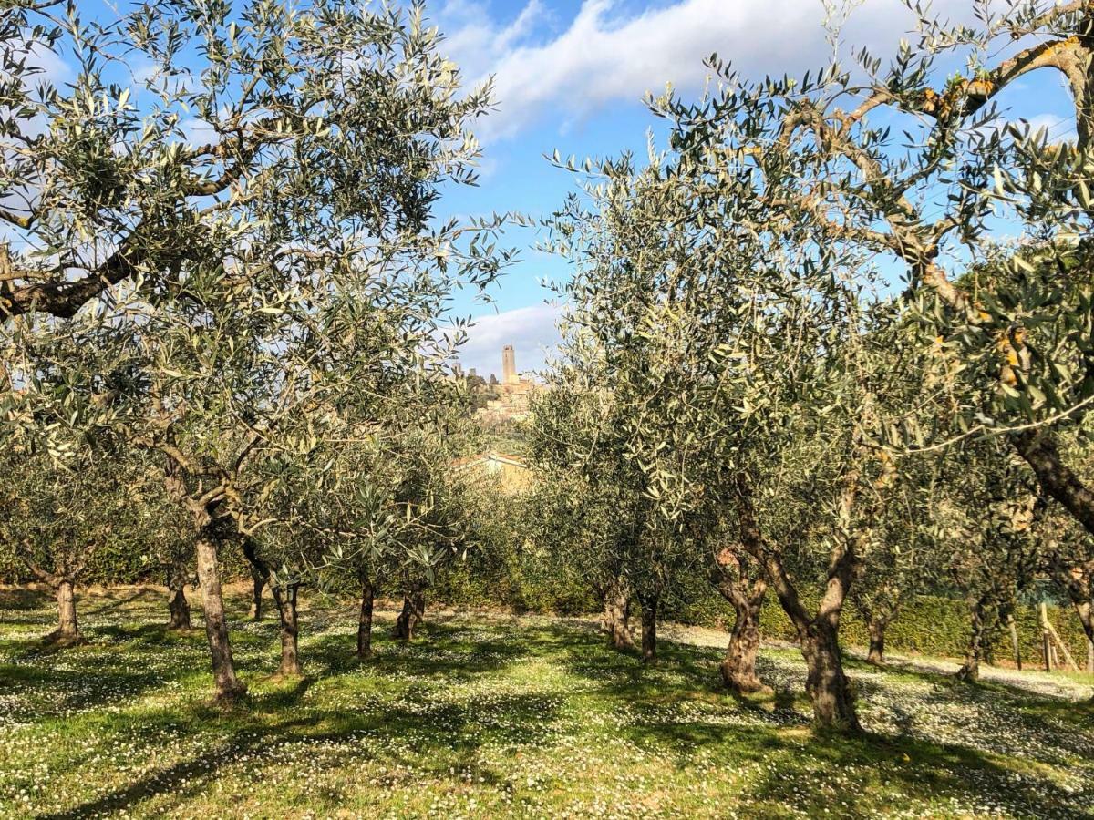Podere Bellavista San Gimignano Ngoại thất bức ảnh